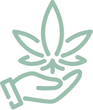 CBD Gummies