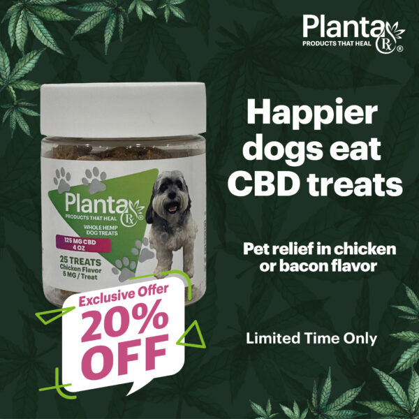 125 or 250 MG CBD DOG TREATS