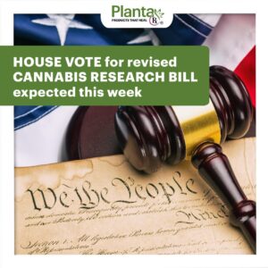 marijuana research bill presidents desk