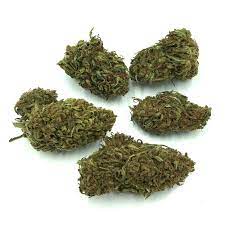 CBD Flower