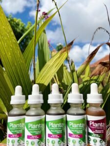 CBD + More Miami Beach