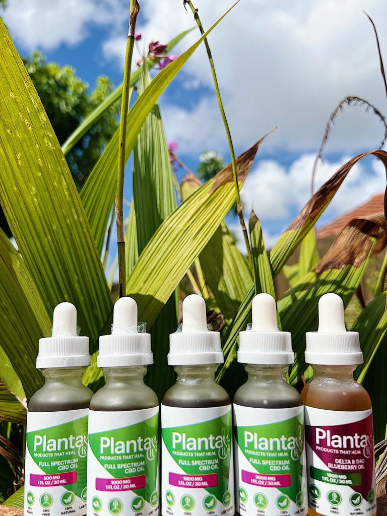 CBD + More Miami Beach