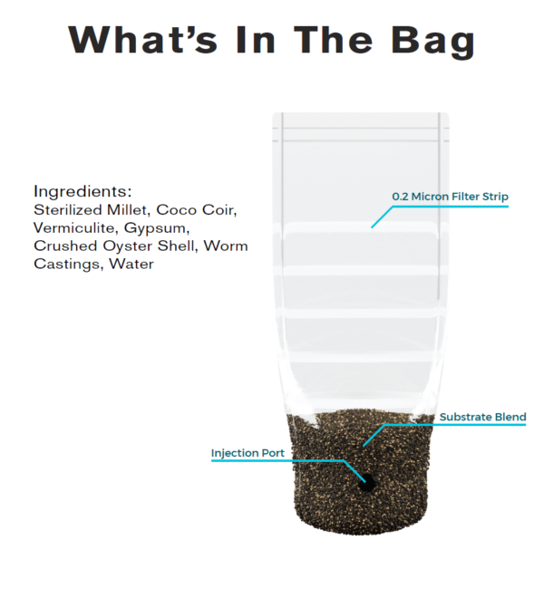 SHRUM Grow Kit – All in One Psilocybin Grow Bag