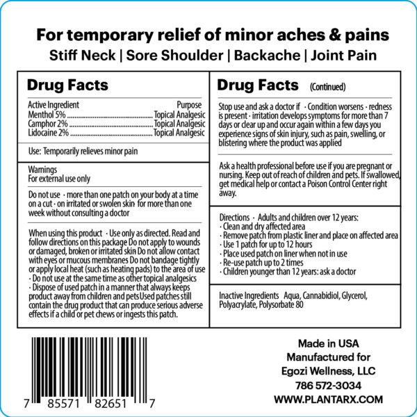 Topical CBD Pain Patch (THC-Free)